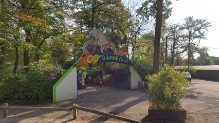 Le zoo d’Amnéville accusé de pratiques douteuses : animaux enterrés, eaux usées dans la forêt, employés et visiteurs fichés