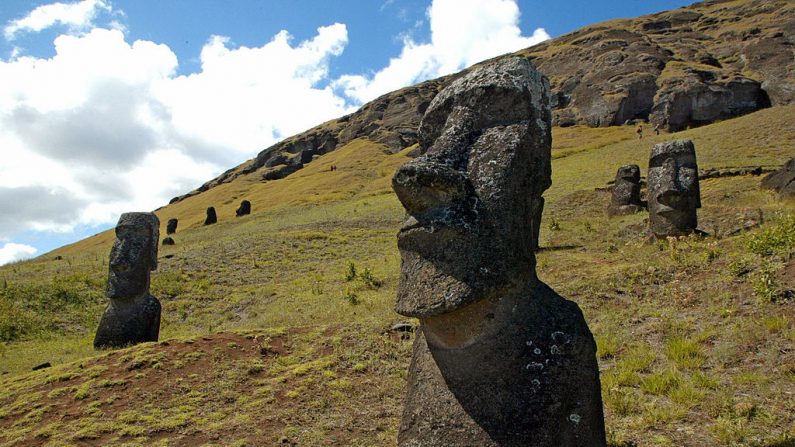 Photo de quelques-uns des 390 énormes moais sur le flanc du volcan Rano Raraku sur l'île de Pâques, à 3700 km au large des côtes du Chili, dans une image d'archive du 12 février 2005. L'île chilienne, située dans l'archipel polynésien, possède de nombreux sites archéologiques et son parc national de Rapa Nui est inscrit sur la liste du patrimoine mondial de l'UNESCO depuis 1995. (MARTIN BERNETTI/AFP par Getty Images)