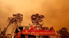 Feux de forêts en Australie: Morrison critiqué par les pompiers