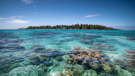 Palau interdit les crèmes solaires toxiques pour protéger ses coraux