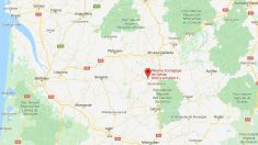 Dordogne: naissance d’un petit singe Tamarin à la réserve zoologique de Calviac