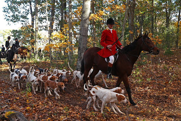 Photo d'illustration. Crédit : Maddie Meyer/Getty Images.