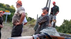 Gard – Un chasseur confond un berger allemand avec un sanglier et le tue : «  C’est inadmissible »