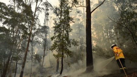 Les feux de brousse en Australie ne sont pas provoqués par les changements climatiques, selon un expert