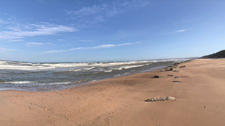 Un mystérieux squelette géant apparaît sur une plage d’Écosse après le passage de la tempête Ciara