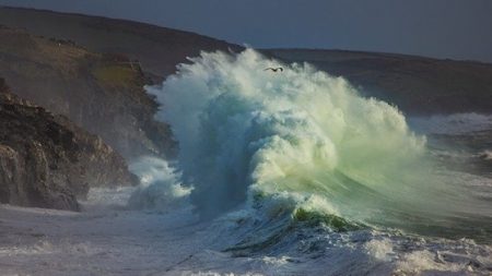 Vents violents, fortes pluies… la tempête Ciara va toucher le nord de la France dès dimanche