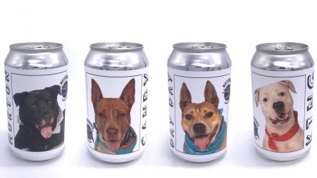 Une femme retrouve son chien perdu depuis longtemps grâce à une photo sur une canette de bière