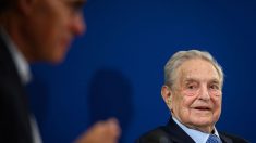 Les ONG de Georges Soros sont-elles infiltrées dans la Cour européenne des droits de l’homme ?