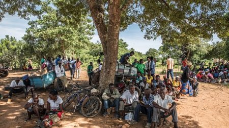 En Afrique australe touchée de plein fouet par la crise climatique, des hommes et des bêtes aux abois