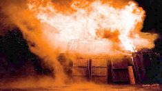 Territoire de Belfort: un incendie tue 8000 poulets d’élevage dans un bâtiment agricole à Offemont