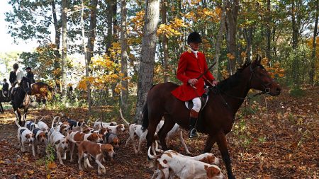 Femme enceinte tuée en forêt : le maître d’équipage de la chasse à courre bientôt entendu par le juge