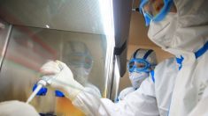Coronavirus : « C’est une épidémie de panique et d’irrationalité » selon un spécialiste des comportements collectifs