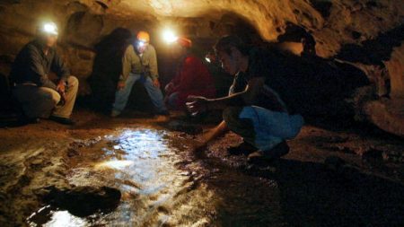 Au Gabon, la grotte d’Iroungou, précieux vestige d’une Histoire méconnue