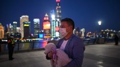 Un deuxième chien testé positif au coronavirus de Wuhan