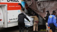 Des dizaines de corps en décomposition découverts dans des camions à New York
