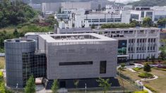 La Chine n’a pas laissé de scientifiques extérieurs entrer dans le laboratoire de Wuhan