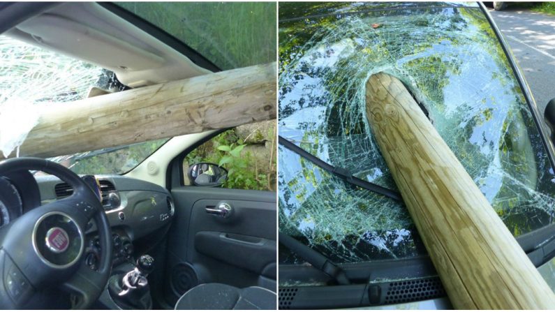 Le pare-brise de la Fiat 500 a été transpercé par un pylône en bois arraché par un poids lourd. Crédit : Police nationale du Tarn. 