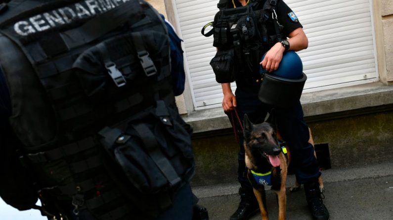 Un maître-chien de la police - Illustration        (Photo credit should read JEFF PACHOUD/AFP via Getty Images)