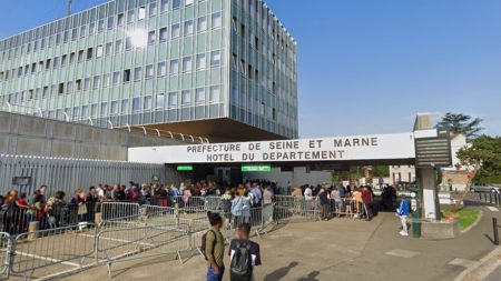 Seine-et-Marne : un Algérien sans-papiers obtient un titre de séjour après avoir sauvé une jeune femme d’un viol
