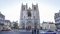 Incendie dans la cathédrale de Nantes : le gardé à vue remis en liberté « sans aucune poursuite »