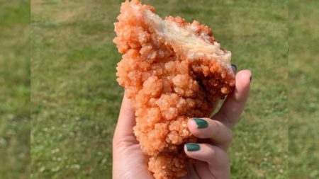 Un cristal en forme de poulet frit d’une bijoutière devient viral sur les médias sociaux