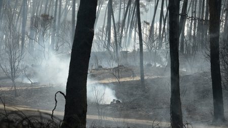 L’incendie d’Anglet est « d’origine humaine », selon les premières constatations