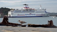 Quarantaine britannique : Brittany Ferries suspend des traversées en Bretagne