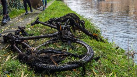 Lyon : ils pêchent des déchets dans le Rhône et la Saône avec des aimants et des grappins