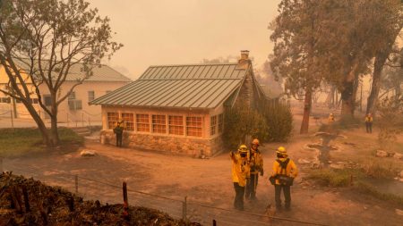 Les données prouvent que le changement climatique n’aggrave pas les sécheresses, les vagues de chaleur ou les incendies