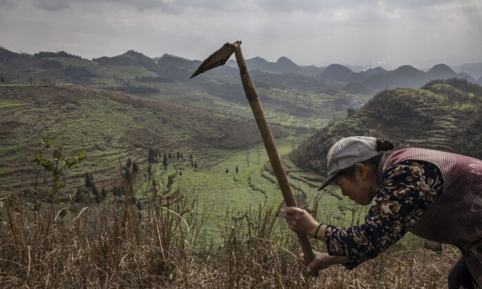 Un villageois Yi travaille dans un champ qui surplombe la région de Long Horn Miao à Longga, dans la province de Guizhou, au sud de la Chine, le 7 février 2017. (Kevin Frayer/Getty Images)