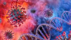 Mutations du coronavirus : ce que nous avons appris jusqu’à présent