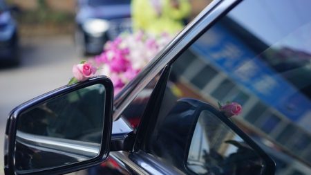 Perpignan : elle inonde les voitures des soignants de bouquets de fleurs