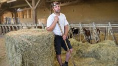 « Je ne vis pas, je survis »: la descente aux enfers d’un éleveur français