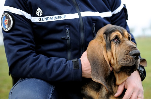 Un maître-chien de la gendarmerie française      (PHILIPPE HUGUEN/AFP via Getty Images)