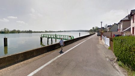 Seine-Maritime : une famille de sangliers traverse la Seine à la nage (vidéo)