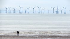 Polémique : Jean Castex valide le projet d’un immense parc d’éoliennes au large d’Oléron