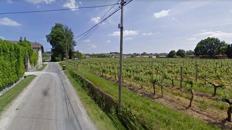 Les vignes du château Fayau à Cadillac | Google Maps