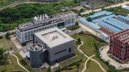 Le scientifique américain qui a condamné la théorie de la fuite du laboratoire de Wuhan admet qu’il protégeait les scientifiques chinois