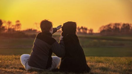 Les deux chiens de la famille réveillent un garçon de 10 ans pendant un incendie de sa maison, mais périssent après lui avoir sauvé la vie