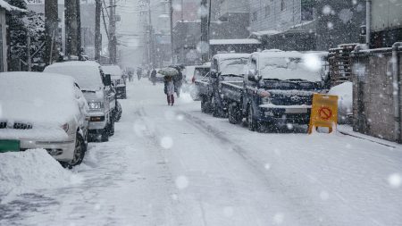 De la neige annoncée à Lille et dans le Nord-Pas-de-Calais la semaine prochaine !