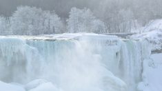 Les chutes du Niagara en partie gelées par la vague de froid (vidéos)
