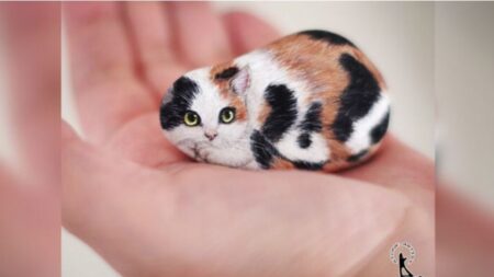 Une artiste japonaise transforme des cailloux en adorables créatures que vous pouvez tenir dans la paume de votre main