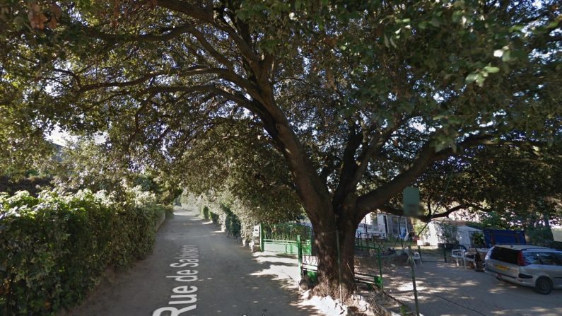 Le chêne centenaire de la rue Salaison à Castelnau-le-Rez a obtenu le label Arbre remarquable fin 2020. (Capture d'écran/Google Maps)