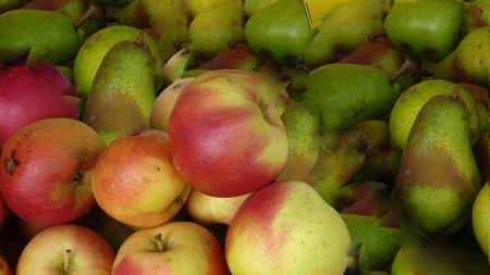 Rouen : 7 tonnes de fruits et légumes offerts à des étudiants par des agriculteurs de Seine-Maritime