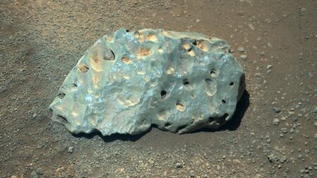 La NASA découvre une roche étrange sur Mars qui intrigue les scientifiques