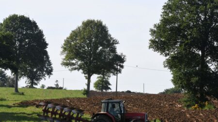 Des agriculteurs influenceurs défendent leur amour de la terre avec humour et dérision