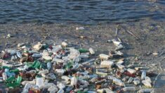 Paris : une marée de déchets accumulés sur le bassin de la Villette