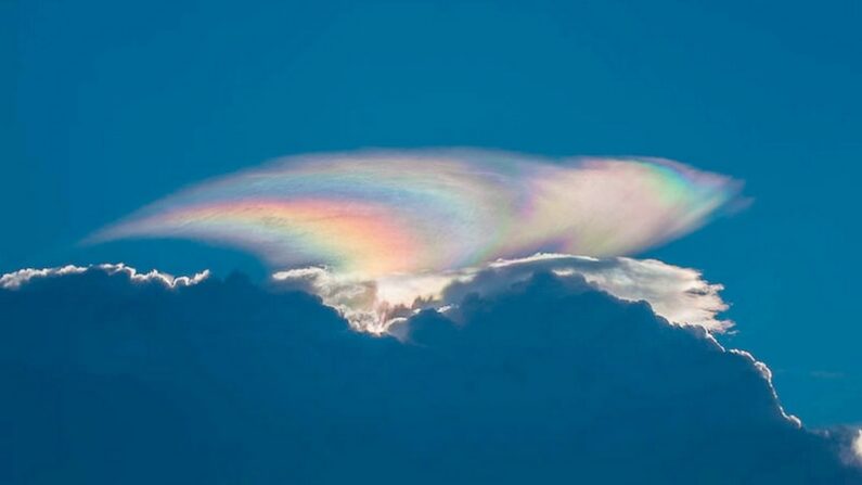 Un nuage iridescent - Par GQuiroga — Photographed by me.Previously published: Flickr: http://bit.ly/NqvaXM, CC BY-SA 3.0, https://commons.wikimedia.org/w/index.php?curid=20517556