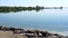Marne : le lac du Der va accueillir le plus grand parc aquatique d’Europe
