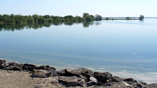 Lac du Der - CC BY-SA 3.0, https://commons.wikimedia.org/w/index.php?curid=178147